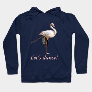 Let's dance flamingo Hoodie